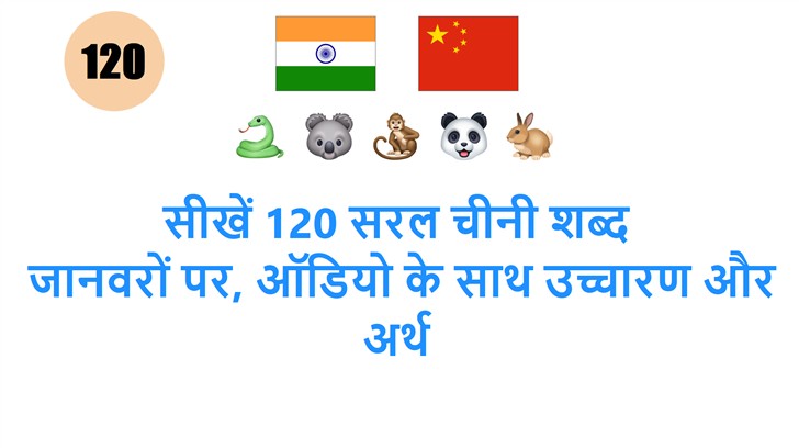 सीखें 120 सरल चीनी शब्द: जानवरों पर, ऑडियो के साथ उच्चारण और अर्थ